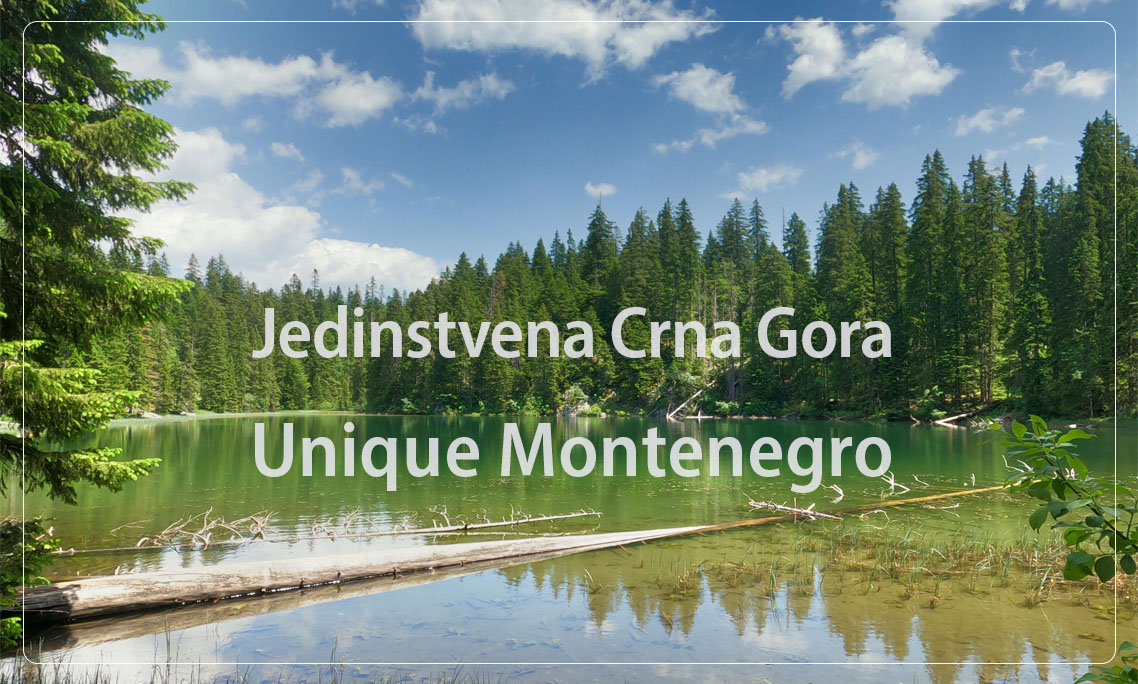 Jedinstvena Crna Gora, Unique Montenegro